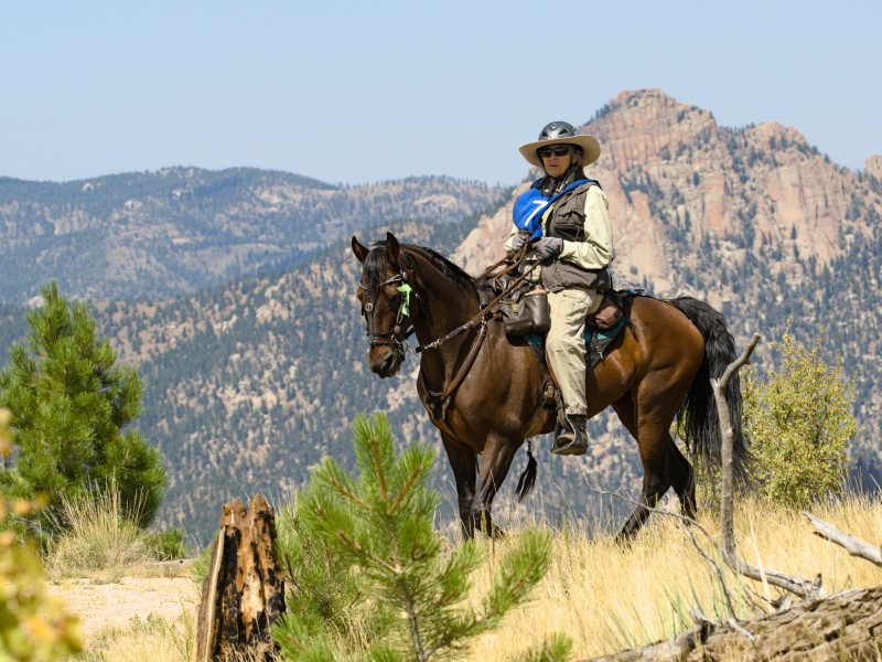 Colorado Trail picture